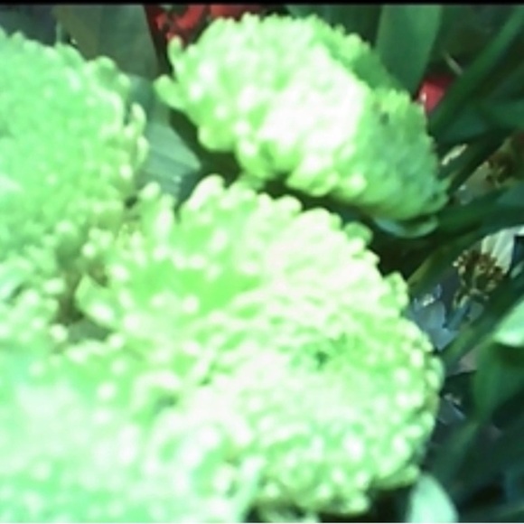 Kingston 8GB MicroSD Card with Adapter - Picture 7 of 11